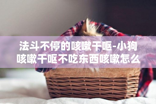 法斗不停的咳嗽干嘔-小狗咳嗽干嘔不吃東西咳嗽怎么回事