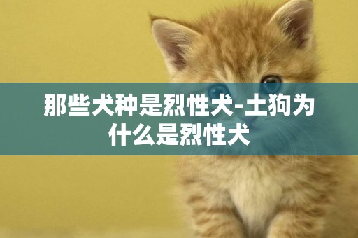 那些犬種是烈性犬-土狗為什么是烈性犬