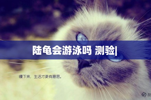 陸龜會游泳嗎 測驗| 