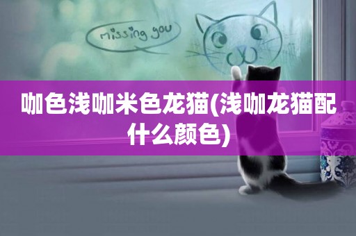 咖色淺咖米色龍貓(淺咖龍貓配什么顏色)