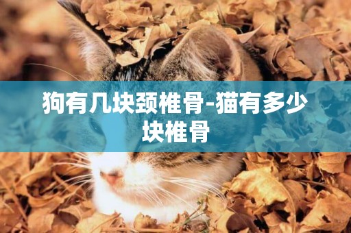 狗有幾塊頸椎骨-貓有多少塊椎骨