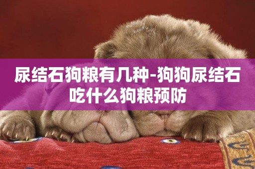 尿結石狗糧有幾種-狗狗尿結石吃什么狗糧預防