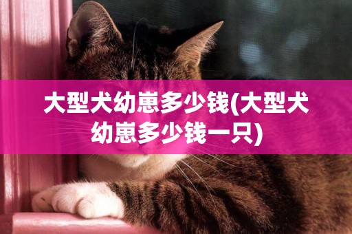 大型犬幼崽多少錢(大型犬幼崽多少錢一只)