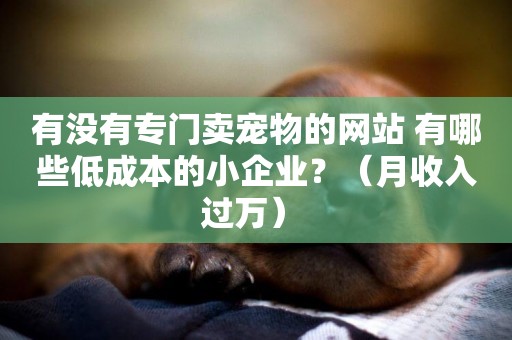 有沒有專門賣寵物的網站 有哪些低成本的小企業？（月收入過萬） 