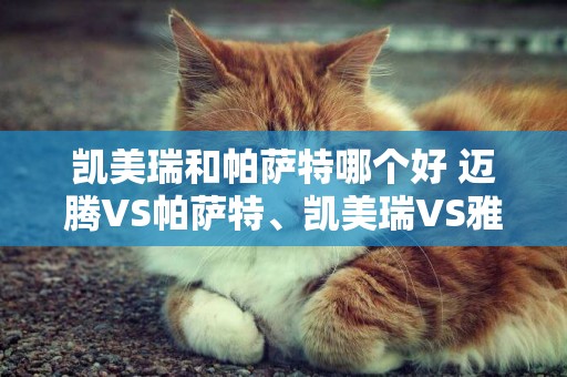 凱美瑞和帕薩特哪個好 邁騰VS帕薩特、凱美瑞VS雅閣，同級別哪個更值得擁有？ 