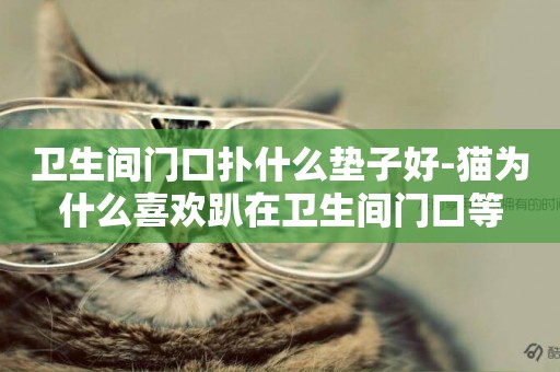 衛生間門口撲什么墊子好-貓為什么喜歡趴在衛生間門口等