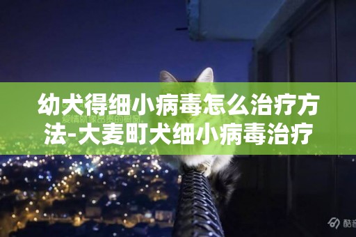 幼犬得細小病毒怎么治療方法-大麥町犬細小病毒治療方法