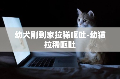 幼犬剛到家拉稀嘔吐-幼貓拉稀嘔吐