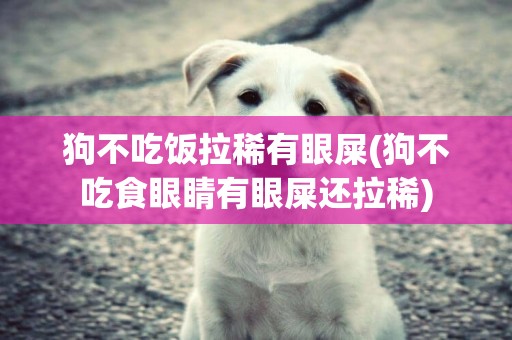 狗不吃飯拉稀有眼屎(狗不吃食眼睛有眼屎還拉稀)