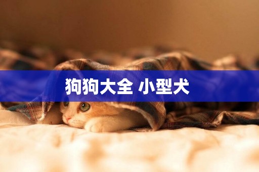狗狗大全 小型犬 