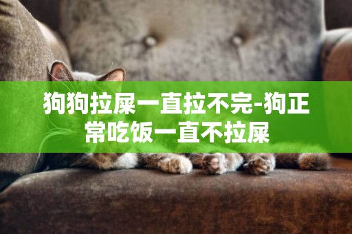 狗狗拉屎一直拉不完-狗正常吃飯一直不拉屎