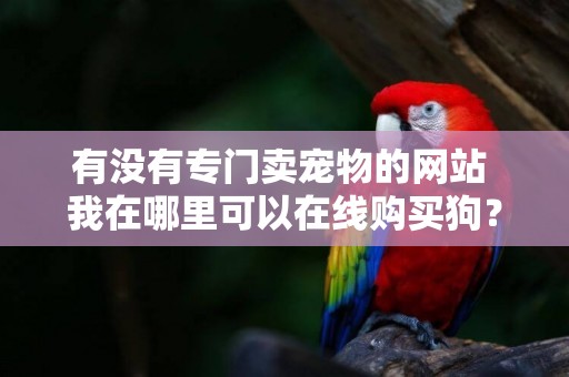 有沒有專門賣寵物的網站 我在哪里可以在線購買狗？ 