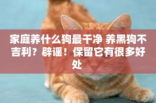 家庭養什么狗最干凈 養黑狗不吉利？辟謠！保留它有很多好處 