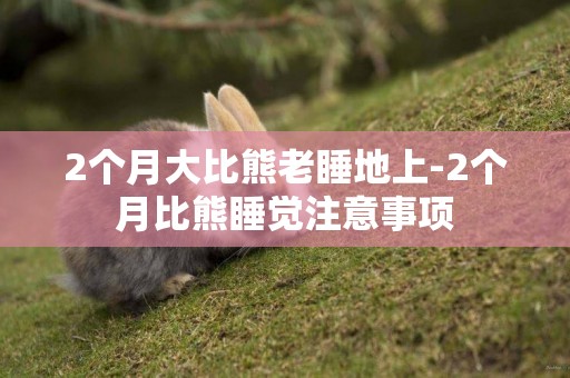 2個月大比熊老睡地上-2個月比熊睡覺注意事項