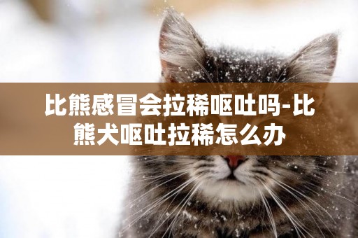 比熊感冒會拉稀嘔吐嗎-比熊犬嘔吐拉稀怎么辦