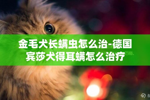 金毛犬長螨蟲怎么治-德國賓莎犬得耳螨怎么治療