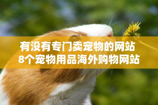 有沒有專門賣寵物的網站 8個寵物用品海外購物網站 