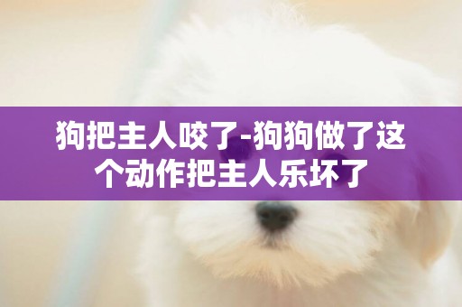 狗把主人咬了-狗狗做了這個動作把主人樂壞了
