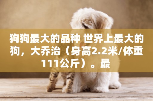 狗狗最大的品種 世界上最大的狗，大喬治（身高2.2米/體重111公斤）。最 