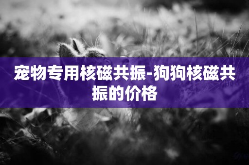 寵物專用核磁共振-狗狗核磁共振的價格