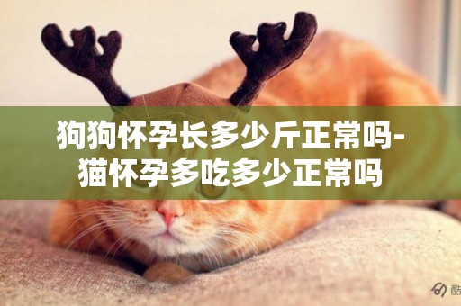狗狗懷孕長多少斤正常嗎-貓懷孕多吃多少正常嗎