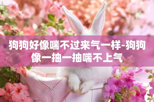 狗狗好像喘不過來氣一樣-狗狗像一抽一抽喘不上氣