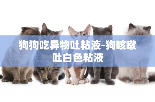 狗狗吃異物吐粘液-狗咳嗽吐白色粘液