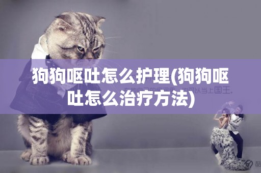 狗狗嘔吐怎么護理(狗狗嘔吐怎么治療方法)