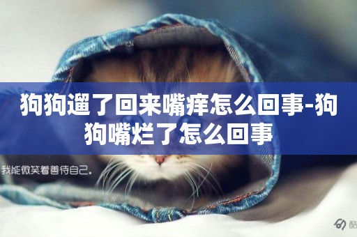 狗狗遛了回來嘴癢怎么回事-狗狗嘴爛了怎么回事