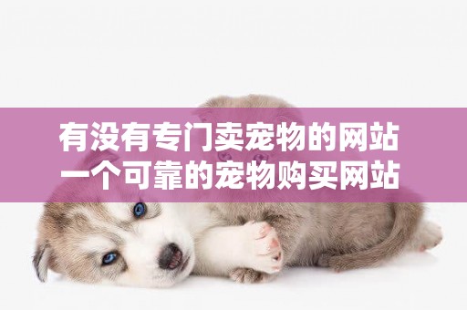 有沒有專門賣寵物的網站 一個可靠的寵物購買網站 