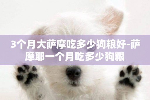 3個月大薩摩吃多少狗糧好-薩摩耶一個月吃多少狗糧