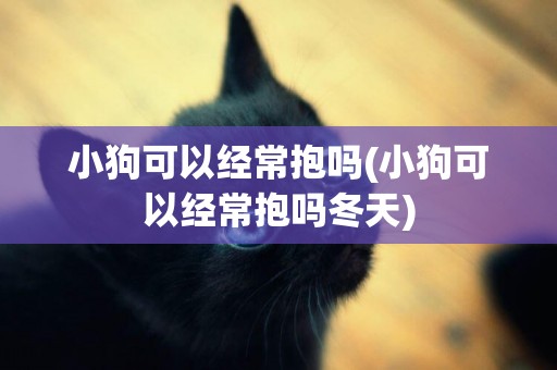 小狗可以經常抱嗎(小狗可以經常抱嗎冬天)