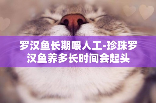 羅漢魚長期喂人工-珍珠羅漢魚養多長時間會起頭