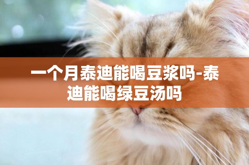 一個月泰迪能喝豆漿嗎-泰迪能喝綠豆湯嗎