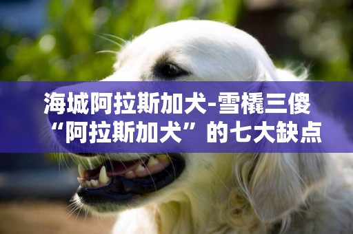 海城阿拉斯加犬-雪橇三傻“阿拉斯加犬”的七大缺點