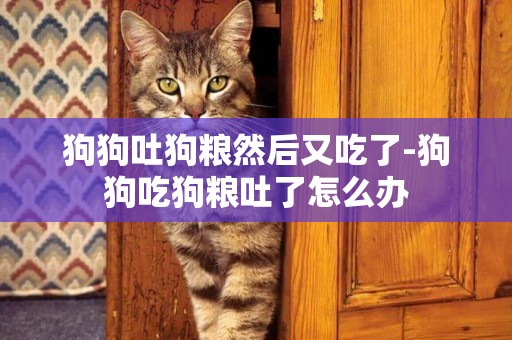 狗狗吐狗糧然后又吃了-狗狗吃狗糧吐了怎么辦