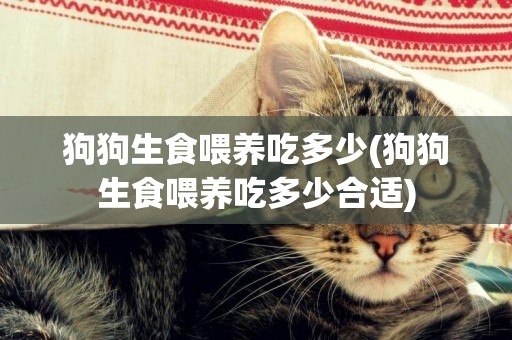 狗狗生食喂養吃多少(狗狗生食喂養吃多少合適)