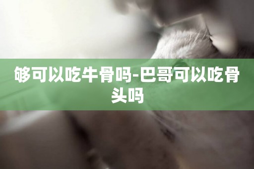 夠可以吃牛骨嗎-巴哥可以吃骨頭嗎