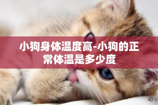 小狗身體溫度高-小狗的正常體溫是多少度