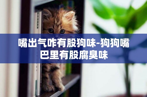 嘴出氣咋有股狗味-狗狗嘴巴里有股腐臭味