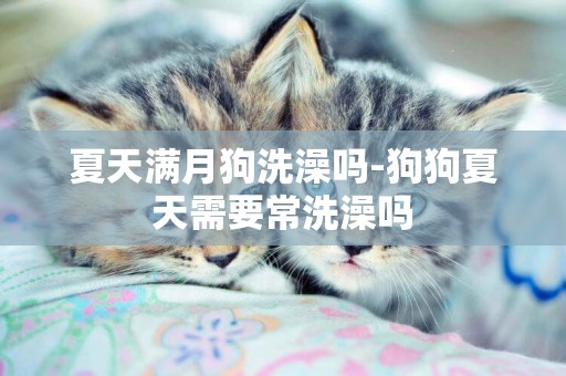 夏天滿月狗洗澡嗎-狗狗夏天需要常洗澡嗎