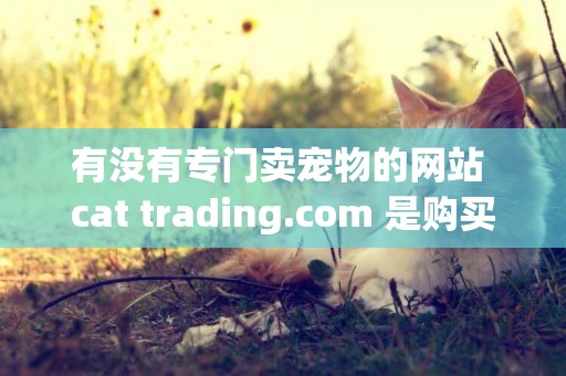 有沒有專門賣寵物的網站 cat trading.com 是購買寵物的可靠網站嗎？ 