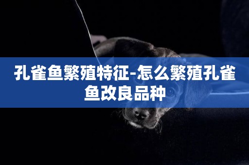 孔雀魚繁殖特征-怎么繁殖孔雀魚改良品種