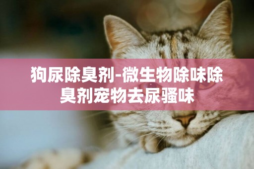 狗尿除臭劑-微生物除味除臭劑寵物去尿騷味