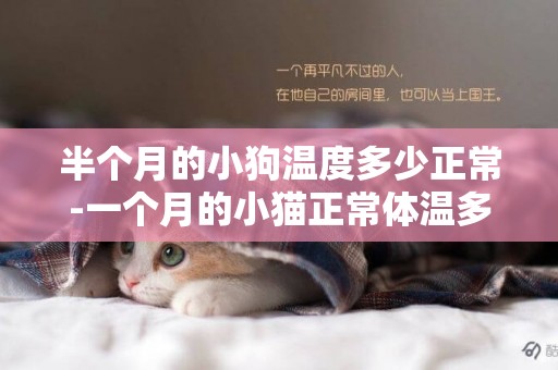 半個月的小狗溫度多少正常-一個月的小貓正常體溫多少正常嗎