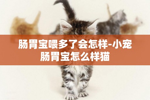 腸胃寶喂多了會怎樣-小寵腸胃寶怎么樣貓