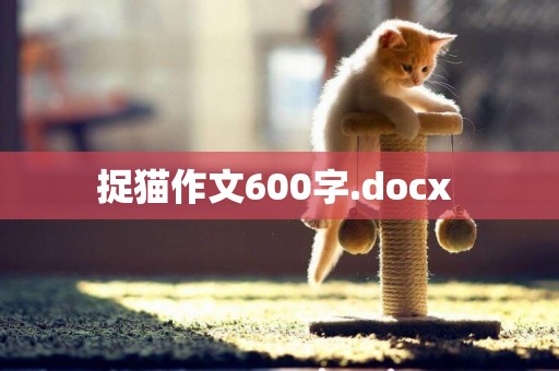 捉貓作文600字.docx 