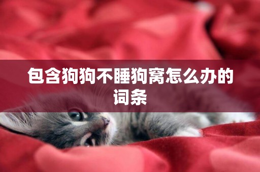 包含狗狗不睡狗窩怎么辦的詞條