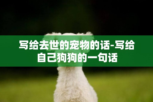 寫給去世的寵物的話-寫給自己狗狗的一句話