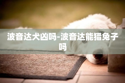 波音達犬兇嗎-波音達能獵兔子嗎